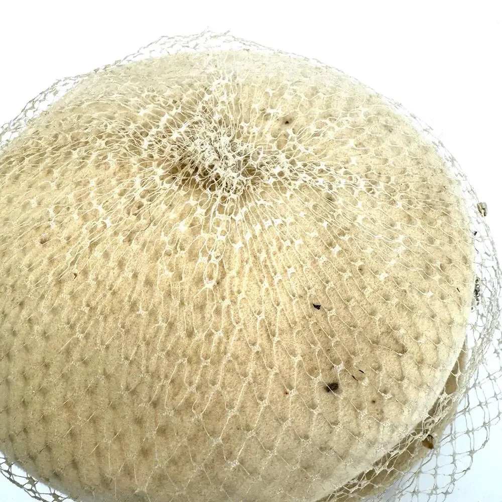 Henry Pollak Peachfelt Birdcage Netting Cream Colored Vintage Hat